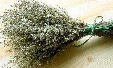 Wormwood als Mittel zum Kampf gegen Parasiten
