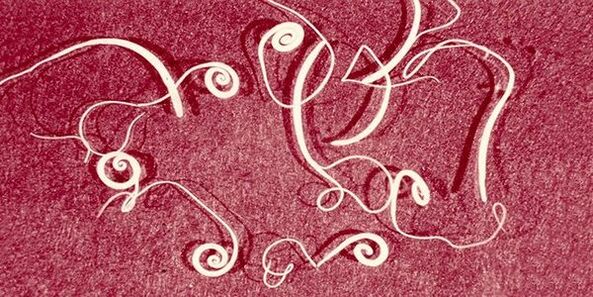 Madenwürmer aus dem menschlichen Körper