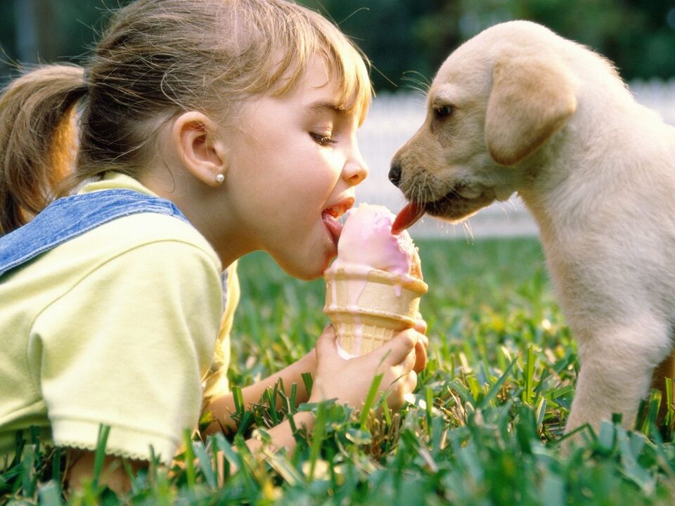 Das Mädchen und der Hund essen Eis und infizieren sich mit Parasiten